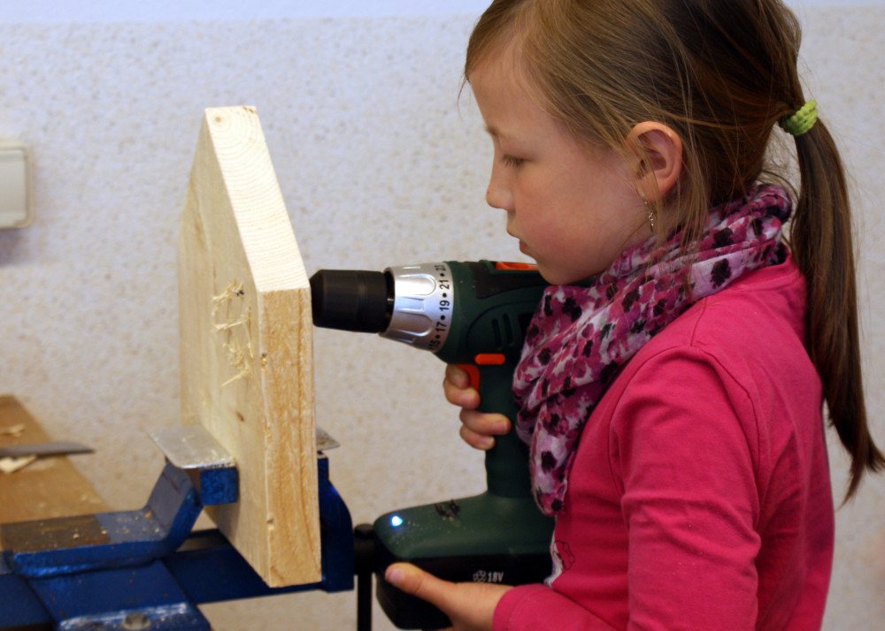 Materialforscher Holz